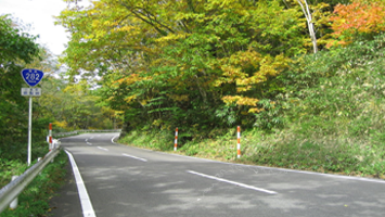 pk_usui_touge